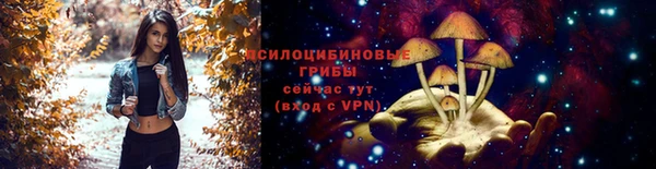 метадон Богородск