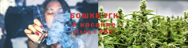 трава Богданович