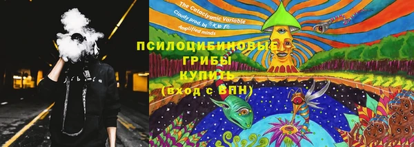 стаф Белоозёрский