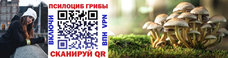 Галлюциногенные грибы Psilocybine cubensis  mega сайт  Добрянка 